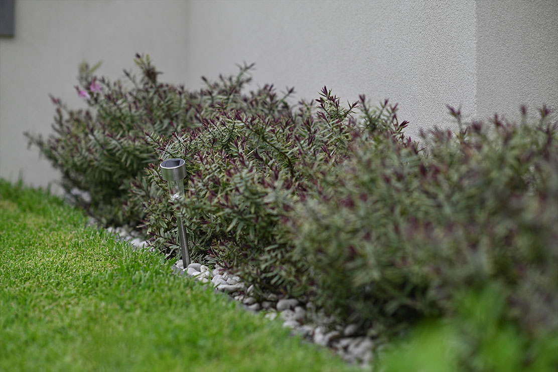 Landscaping & Concreting